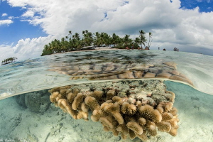 blue lagoon_Rangiroa by Mathieu Foulquié 